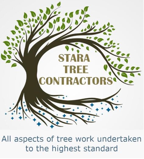 Stara Tree Contractors, Bradford Header Logo